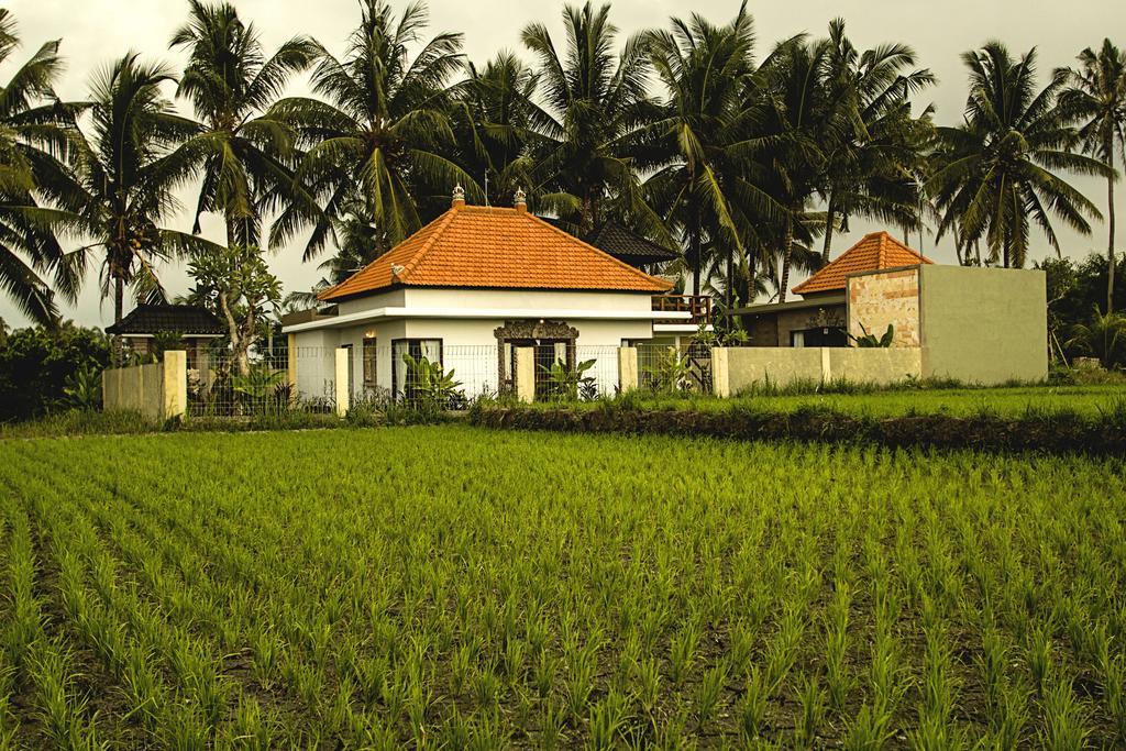 Ubud Lestari Villa Exterior photo